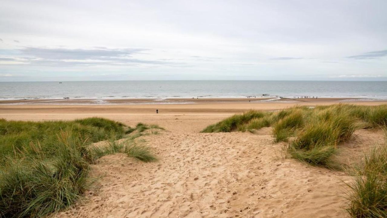 AreaSummer20KM AreaSummer20KM